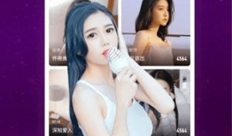 ru 91 直播,揭秘热门直播平台的魅力与挑战